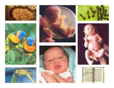 Le miracle du Coran � travers les d�couvertes scientifiques 